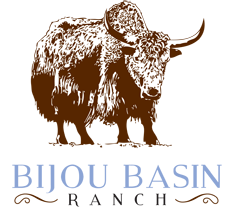 Bijou Basin Ranch yarns at For Yarn's Sake